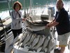 (06/10/2018) - Nice Striped Bass